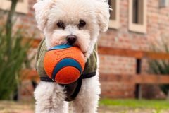 IMG_6515.JPG-scaled