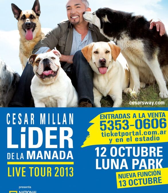 Show Cesar Millan