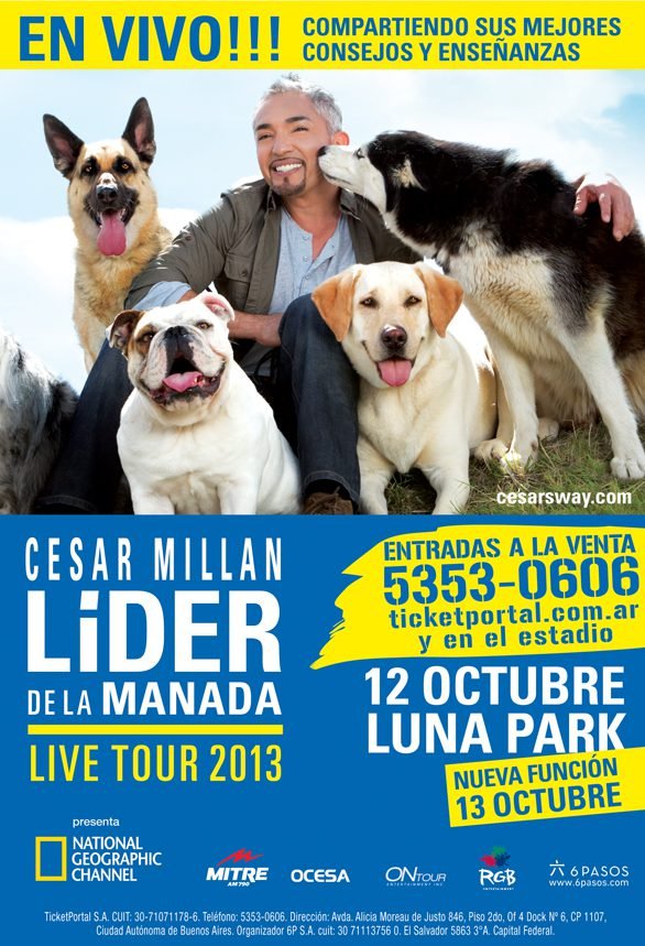 Show Cesar Millan