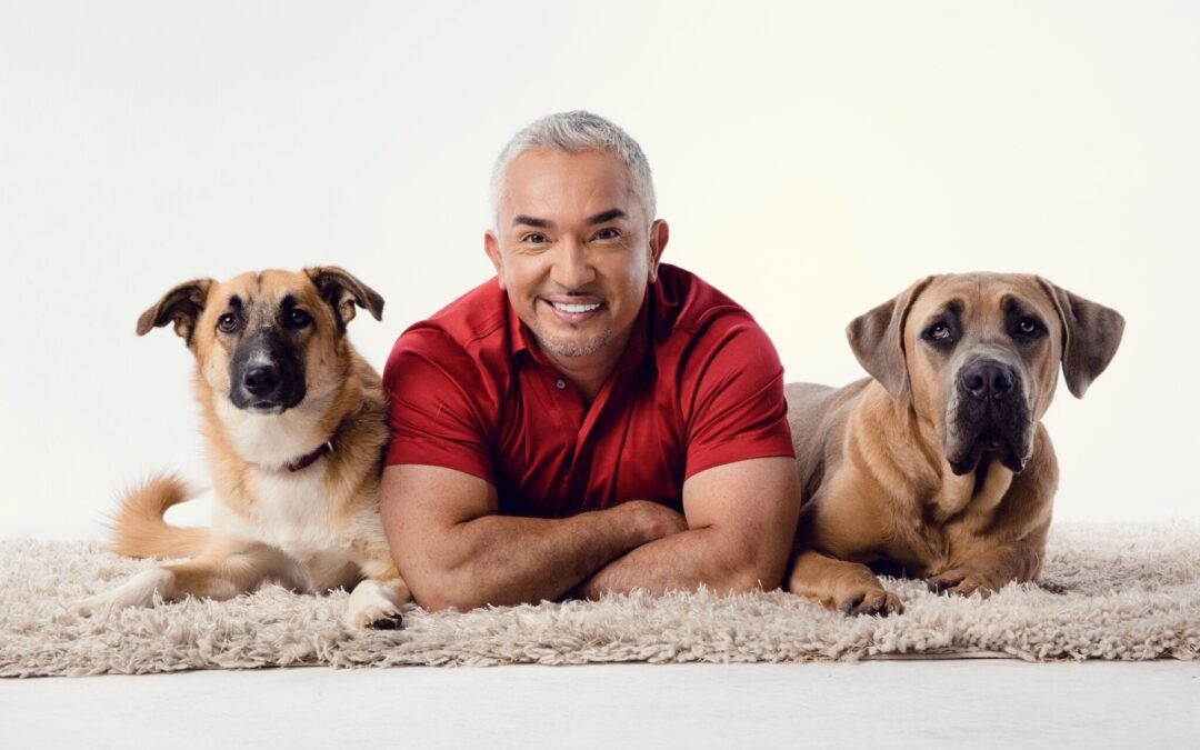 Revista Cesar Millan 2013 y 2014