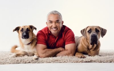 Revista Cesar Millan 2013 y 2014