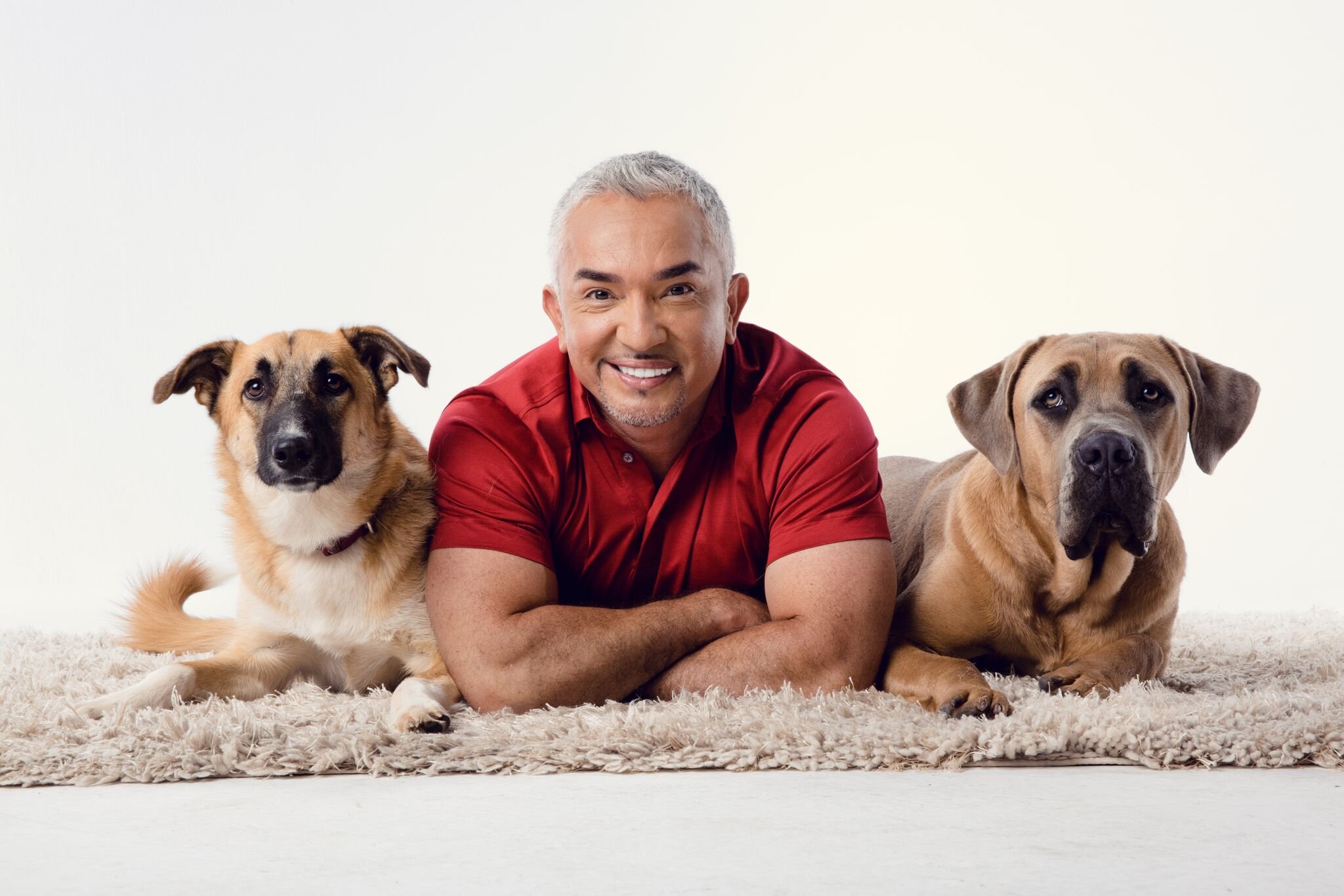 Revista Cesar Millan 2013 y 2014