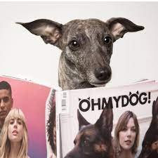 Revista Oh My Dog 2013 y 2014